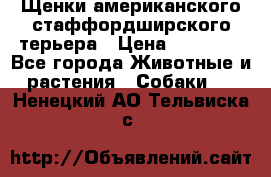 Щенки американского стаффордширского терьера › Цена ­ 20 000 - Все города Животные и растения » Собаки   . Ненецкий АО,Тельвиска с.